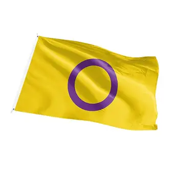 Открытый Радужный флаг, Большой флаг интерсексуальной гордости, флаг гордости, Подвесной флаг патио, Бисексуальный декор, баннер трансгендеров Для сада