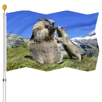 Милые Животные Флаг Сурка Мать со Своим Любопытным Детенышем В Высоких Горах Флаги для Домашнего Декора с Латунными Люверсами для Женщин Мужчин
